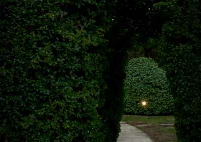 A pathway through a symmetrical hedge arch, leading to a distant glowing light at the end, surrounded by lush green foliage in a dimly lit garden setting.
