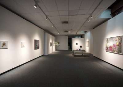 Art gallery interior with various framed paintings by Matthew McConville displayed on white walls, illuminated by track lighting, featuring a central flower arrangement on a pedestal.