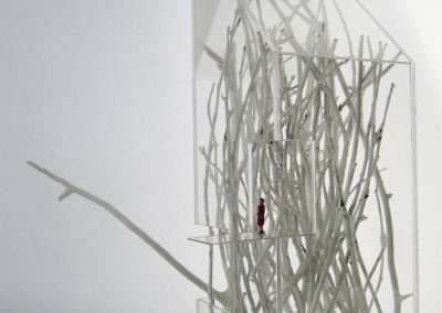 A minimalist artistic installation featuring thin white twigs chaotically arranged within a transparent, rectangular acrylic box, with a small red element near the center.