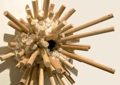 A cluster of wooden dowels protruding from a central, fluffy white mass against a light beige background, casting soft shadows.