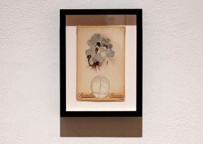 A framed artwork on a white wall displaying a vintage-style sketch of a floral design above an ornate globe, with "Random Chances" written below.