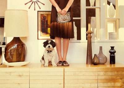 A woman in a brown dress stands behind a small dog on a wooden cabinet, surrounded by decorative items, including vases and a unique wall clock. Only her torso and legs are visible.