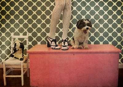 A quirky art piece featuring mannequin legs wearing high heels atop a pink table, with a dog and a small chair beside them, against a patterned wallpaper backdrop.