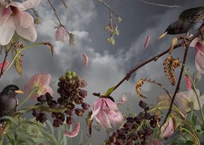 A detailed artwork depicting a starling perched on a branch surrounded by blooming pink flowers and dark stormy skies, featured in art exhibitions.