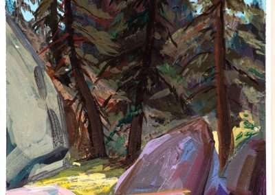 A vivid painting of a forest scene with sunlit rocks in the foreground and dense, shadowy pine trees in the background, depicted in bold, impressionistic brushstrokes captures one of my favorite things.