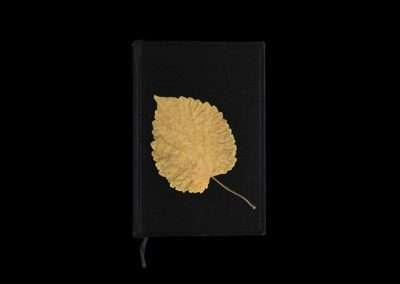 A dried, yellow leaf, one of my favorite things, rests on a closed black book against a dark background, suggesting themes of autumn and nostalgia.