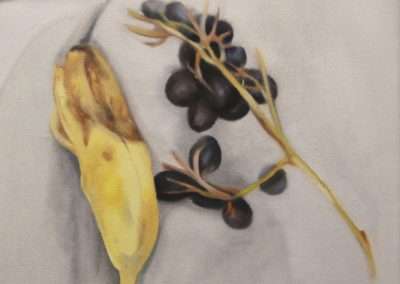 A still life painting depicting a banana with dark spots alongside a cluster of dark grapes on a light draped fabric background. The colors have soft blending, creating a gentle realistic look.