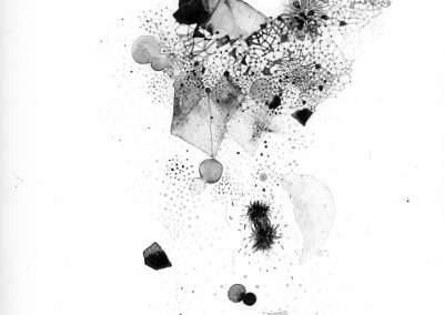 Abstract black and white artwork featuring various textures and shapes, including delicate line patterns, blobs, and spiky forms dispersed across the composition.