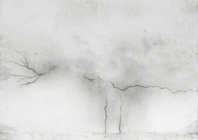 A textured, grayscale image of a wall with cracks resembling the branches of a tree, creating an abstract and minimalist aesthetic.