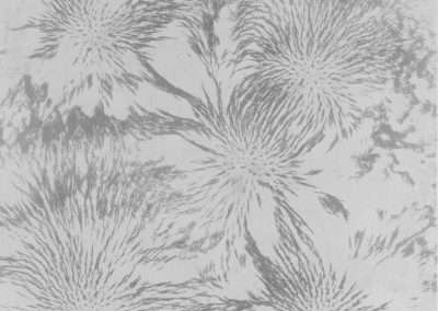 Abstract black and white image depicting a pattern with multiple radial bursts resembling soft explosions or dandelion blooms, spread against a textured background.