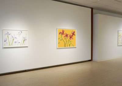 An art gallery wall featuring three framed paintings of flowers. From left to right: light purple flowers, vibrant red and purple flowers on a yellow background, and a mix of light-colored flowers. The gallery has pale wooden flooring and a ceiling with lights.