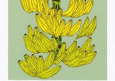 Illustration of a bunch of bananas in bright yellow, hanging from a green stem with a light green background. The word "BANANAS" is written in bold, purple letters below the image.