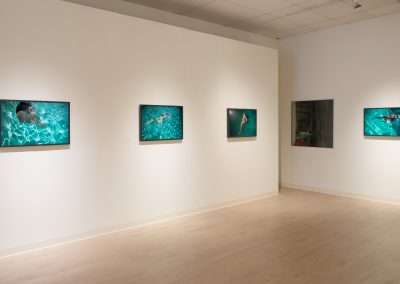 A gallery room displays five framed photographs on white walls. Each photo features individuals swimming in a clear, aqua blue pool. The room has a light wood floor and a brightly lit ceiling.