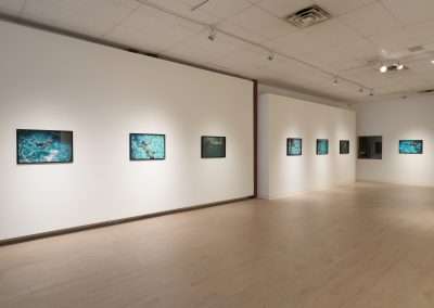 A gallery room with white walls displays a series of framed photographs featuring aquatic scenes. The images are evenly spaced, creating a serene and minimalist atmosphere. The gallery has light wood flooring and overhead track lighting illuminating the artwork.