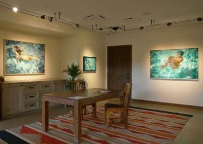 A warmly-lit room features a wooden desk and chair on a vibrant, patterned rug. The walls display three framed aquatic-themed artworks by Eric Tillinghast, depicting swimmers. A potted plant sits on a wooden sideboard, adding greenery to the space. Track lighting illuminates the artworks.