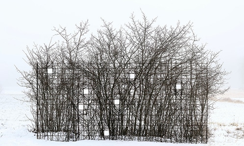 A group of leafless bushes stands amid a snowy landscape with a foggy sky, reminiscent of modern art exhibitions. The branches of the bushes are densely packed, and there are small square holes cut through the bushes, allowing light to pass through.