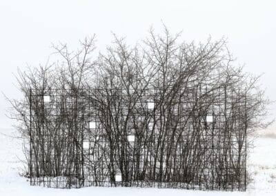 A grid-like metal fence blends with leafless, intertwined tree branches, resembling an abstract artwork reminiscent of Antti Laitinen's creations. The scene is set against a snowy landscape, with a foggy, white sky in the background, creating a stark contrast between the dark branches and light surroundings.