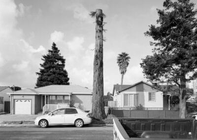 A black and white photograph of a residential street features a small white car parked in front of a house. A tall, half-cut tree stands between the car and the house, with more trees and several smaller houses visible in the background, along with part of a truck bed in the foreground.